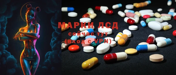 герыч Арсеньев