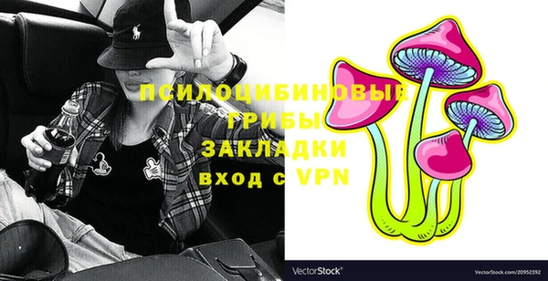 ПСИЛОЦИБИНОВЫЕ ГРИБЫ Аркадак