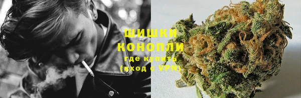 ПСИЛОЦИБИНОВЫЕ ГРИБЫ Аркадак